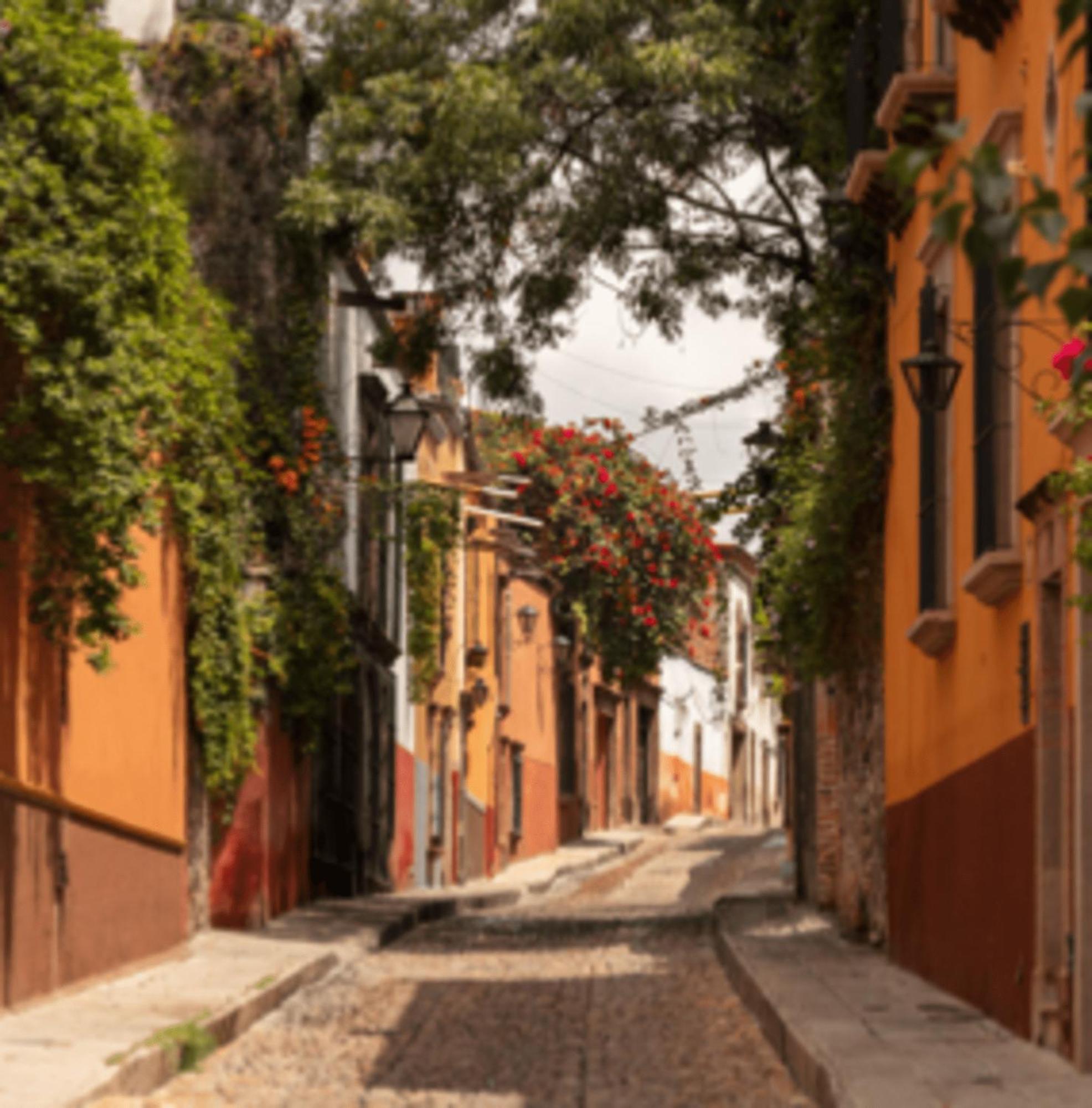 Hostal Cuija Coyoacan Berlin 268 Coyoacan Cidade do México Exterior foto